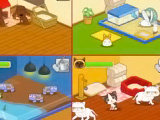 Animal Shelter